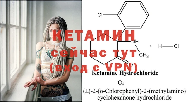 стафф Вяземский