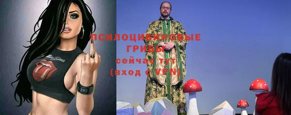 стафф Вяземский