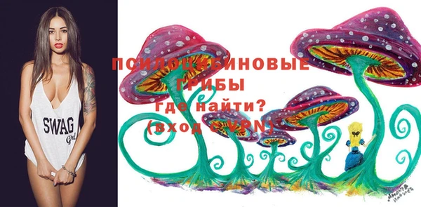 стафф Вяземский