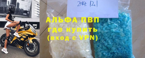 стафф Вяземский