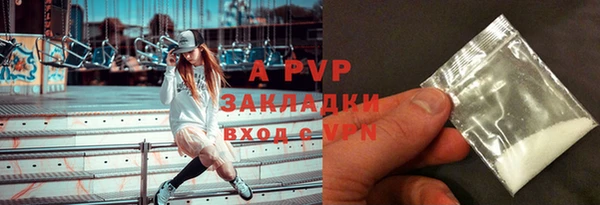стафф Вяземский